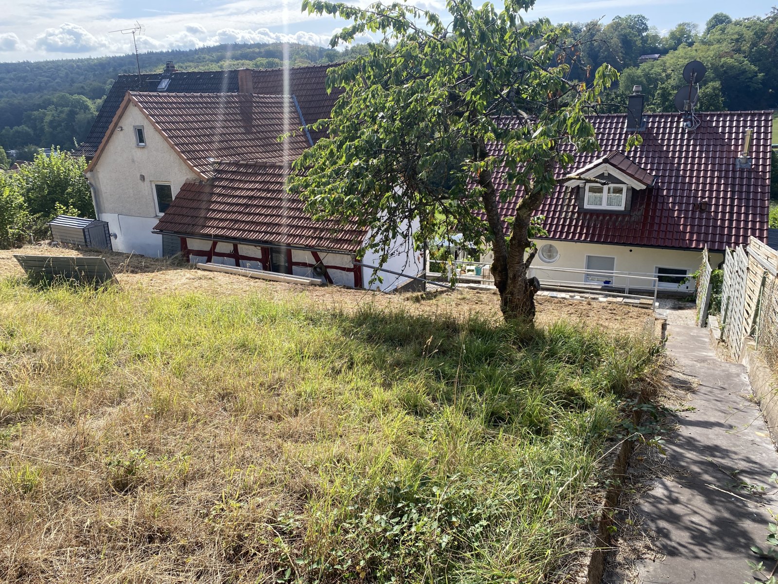 Garten mit Blick auf die Gebäude Garten mit Blick auf die Gebäude