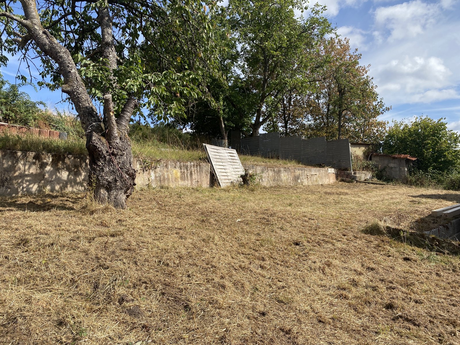 Garten Garten