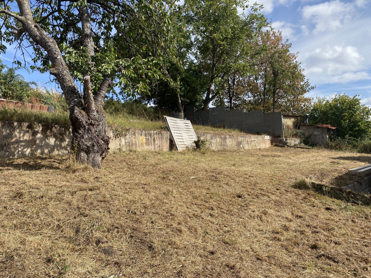 Garten Garten