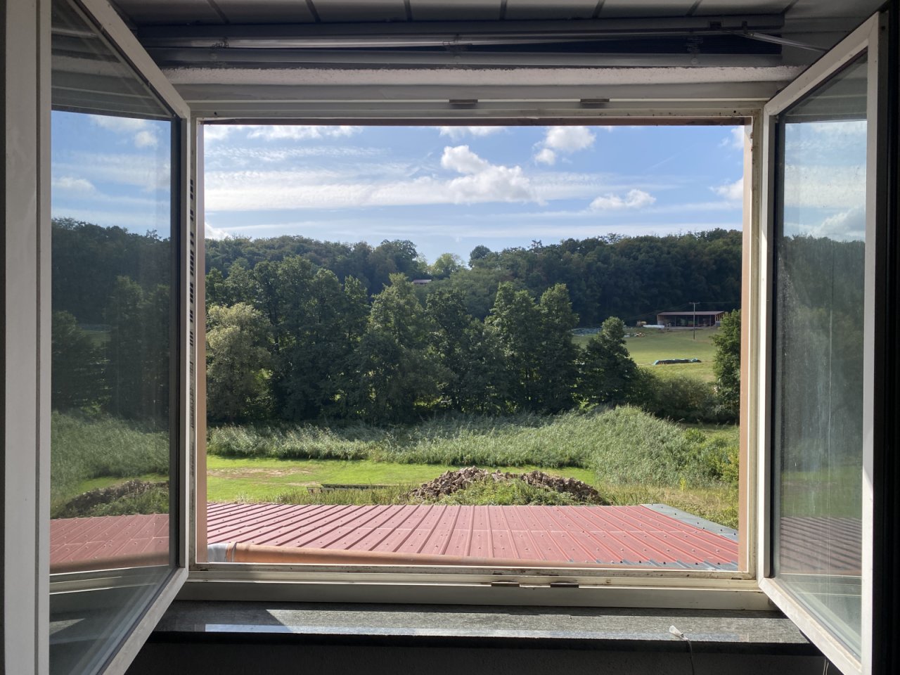 EG: Blick aus dem Wohnzimmer EG: Blick aus dem Wohnzimmer