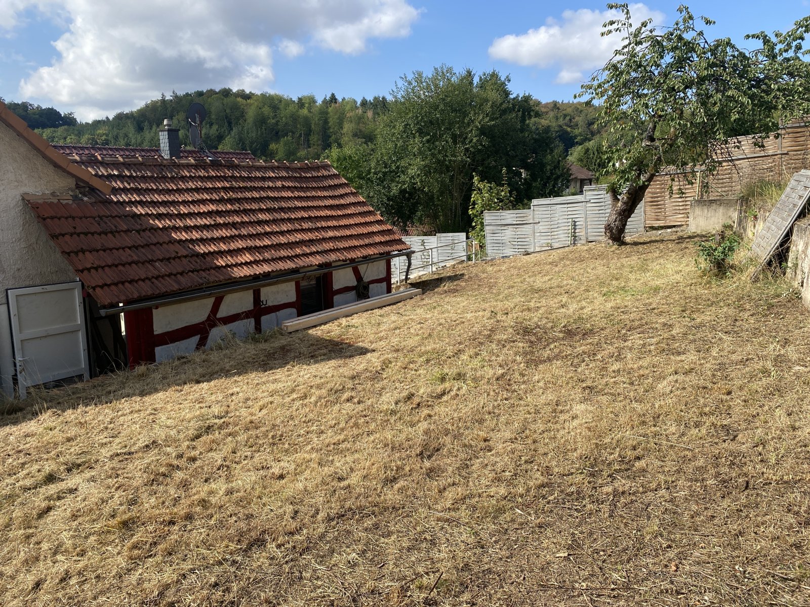 Garten mit Blick auf Nebengebäude Garten mit Blick auf Nebengebäude