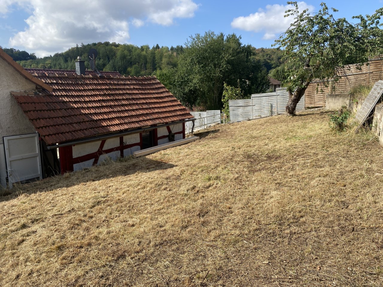 Garten mit Blick auf Nebengebäude Garten mit Blick auf Nebengebäude